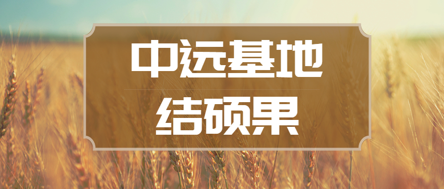 東莞中遠基地首套導(dǎo)管架完工交付
